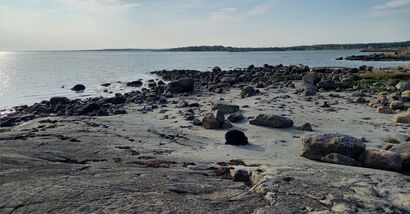 Archipelago | bodyscape - a Land Art Artowrk by Ivan Juarez